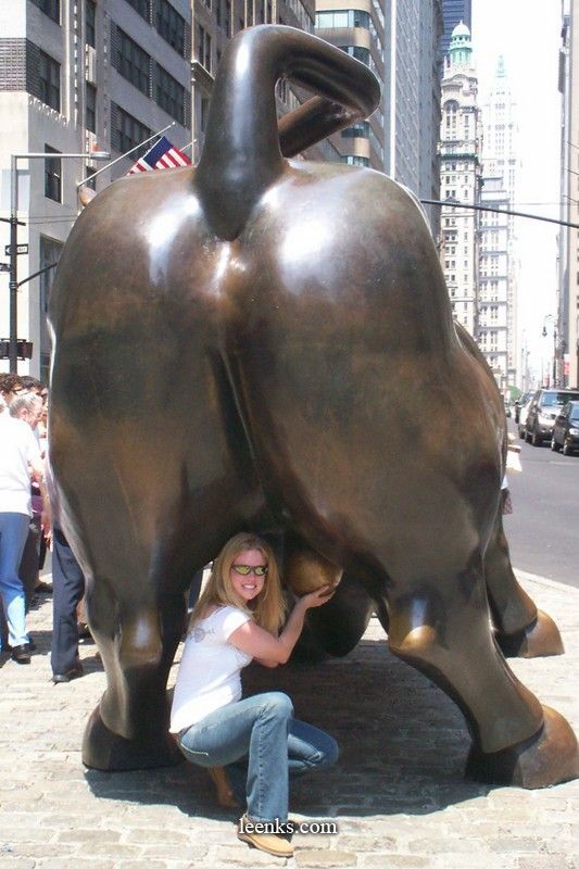 Amateur wife rides bull